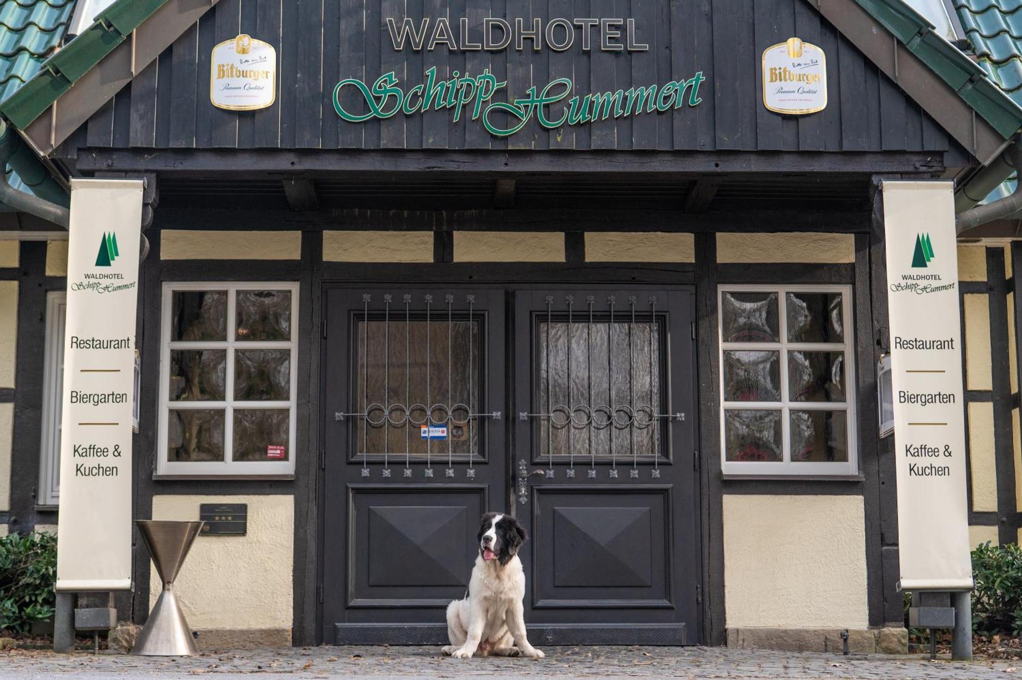 Waldhotel Schipp-Hummert Emsdetten Bagian luar foto